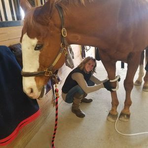 Meet your Posher, Korin